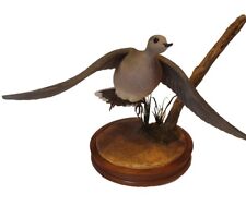 Mourning dove wood for sale  Harrisburg
