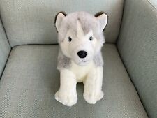 Lapland jarvi husky for sale  HARPENDEN