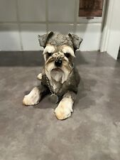 Schnauzer dog laying for sale  Springfield