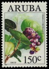 ARUBA 112 - Uva marina "Coccoloba uvifera" (pb18802) segunda mano  Embacar hacia Argentina