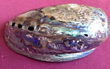 Lovely natural abalone for sale  COVENTRY