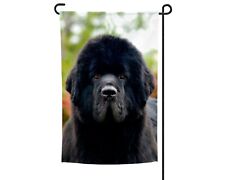 Newfoundland dog garden for sale  Papillion