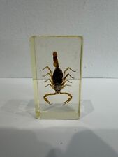 Scorpione insetto resina usato  Rho