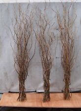 Dried twisted willow for sale  LEICESTER