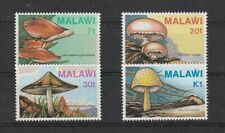 9425 malawi pilze gebraucht kaufen  Deutschland