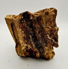 Petrified wood 5.5 for sale  Brightwood
