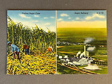 Flórida, FL, Clewiston, Corte de Cana-de-Açúcar, Maior Moinho de Refinaria de Açúcar, ca 1940 comprar usado  Enviando para Brazil