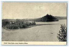 1910 Scene Of Fish Trap Lake Near Staples Minnesota MN Posted Trees Postcard for sale  Shipping to South Africa