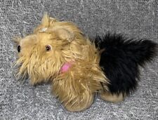 yorkshire terrier toy for sale  SHEFFIELD