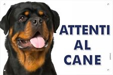 Rottweiler attenti cane usato  San Filippo Del Mela