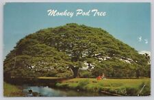 Postcard hawaiian monkey for sale  Barnegat
