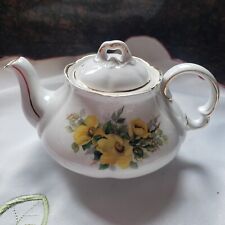 Ellgreave ironstone teapot for sale  Meriden