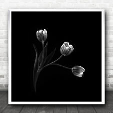 trio canvas large flower for sale  UK