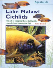 Malawi cichlids peter for sale  UK