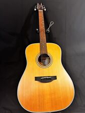 Takamine gd20 solid for sale  Centreville