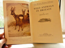 Wild animals britain for sale  ILKLEY