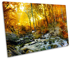 Sunset autumn forest for sale  UK