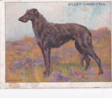 Dogs series 1911 for sale  PRESTON