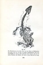 Nothosaurus semi aquatic d'occasion  Saint-Cyprien
