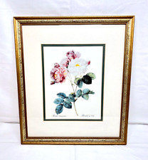 Roses framed lithograph for sale  Lakeland