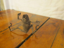 Small mummified frog for sale  Bassett