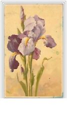 Ill.klein.fleurs.iris d'occasion  France