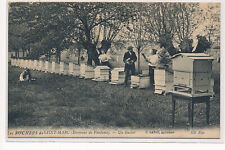 St. marc apiary d'occasion  Expédié en Belgium