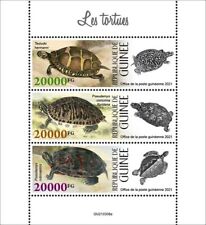 Guinea 2021 turtles for sale  Wilmington