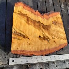 Beautiful spalted maple for sale  Hamilton