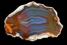 Condor agate argentina for sale  Shipping to Ireland