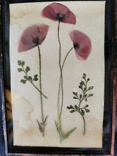 Bild trockenblumen herbarium gebraucht kaufen  Nürnberg