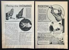 Pigeon racing 1952 for sale  Diamond Point