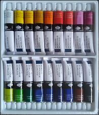 Acrylic paint large for sale  BIRMINGHAM