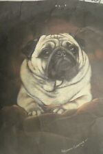 Fawn pug dog for sale  Raleigh