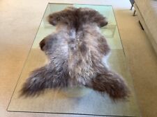 Genuine sheepskin possibly for sale  GLOUCESTER