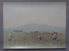 Japón Fuji - trabajadores de campos de arroz - asiáticos - col. Albúmina de fotografía - 1900 segunda mano  Embacar hacia Argentina