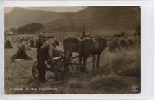 Rppc social history for sale  WITHERNSEA