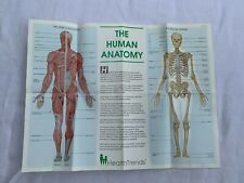 Human anatomy body for sale  Bradenton