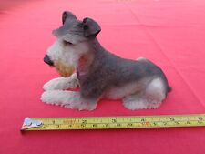 miniature schnauzer dog for sale  ABINGDON