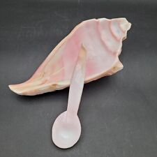 Vintage conch sea for sale  Raymore