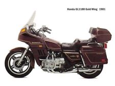 Honda Goldwing GL1000 GL1100 1980 1981 1982 1983 MANUAL DE REPARACIÓN DE SERVICIO segunda mano  Embacar hacia Argentina