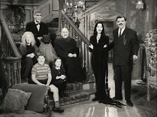 Addams family cast for sale  USA