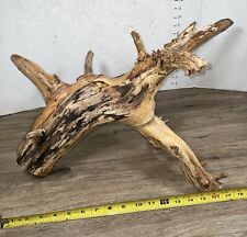 driftwood root for sale  Brookwood