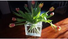 Designervase glasbaustein tulp gebraucht kaufen  Uettingen
