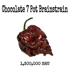 Chocolate pot brainstrain for sale  Dickinson