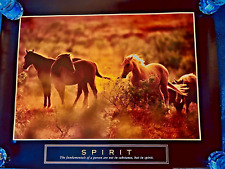 Wild horses spirit for sale  Port Saint Lucie