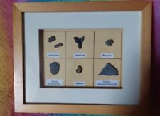 Prehistoric excervation pieces for sale  REDCAR