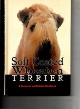 soft coated wheaten terriers for sale  CAMELFORD