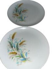 Stetson melamine dinner for sale  Dayton