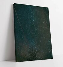 Night sky canvas for sale  LONDONDERRY